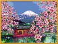 Ravensburger 28841 Malen nach Zahlen Japanische Kirschbluete 40x30 cm