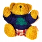 Plueschbaer blauer Pullover karierter Hose 1 Stueck