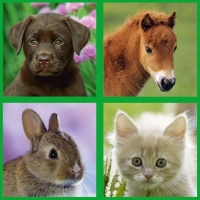 Ravensburger 07265 Puzzle Puzzlekoffer Tierkinder im Freien