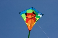 HQ Kinderdrachen Einleiner Eddy Frosch Drachenschnur 68 x 68 cm R2F HQ Kinderdrachen Einleiner Eddy Frosch Drachenschnur 68 x 68 cm R2F