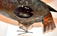 Teelichthalter Windlicht Pelikan 53 x 45 cm