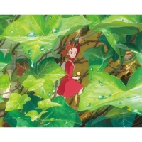 DVD Video Arrietty-Die wundersame Welt der Borger