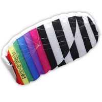 Radsails Powerkite Lenkmatte Zweileiner Intro 180 x 54 cm R2F