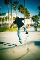 Flexcruising Skateboard Twineye Ahorn 7 Lagen Graphik Beidseitig 78 x 20 cm