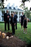 DVD Video Straight A`s - Jede Familie hat ein schwarzes Schaf