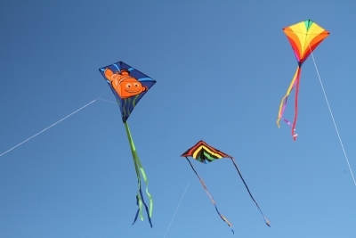 HQ Kinderdrachen Einleiner Eddy Meeres Schildkroete 68 x 68 cm R2F