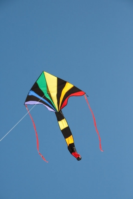 HQ Einleiner Drachen Simple Flyer Black Rainbow 120 x 75 cm R2F