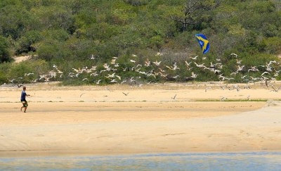 HQ Powerkite Zweileiner Rush V 200x74 cm Flugleine Lenk Bar Tasche R2F