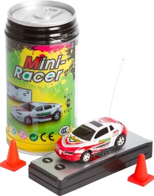 WL Toys RC Mini Racer 4 Pylone LED Scheinwerfer schnell-Ladevorrichtichtung 2-Kanal Fernsteuerung