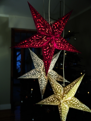 starlightz papierstern leuchtstern geeta silver