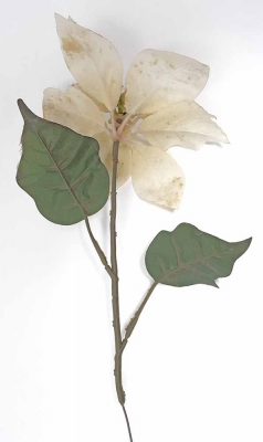 Kunstblume Blume Weihnachtsstern Weiss 20 x 37 cm Advent Tisch Deko