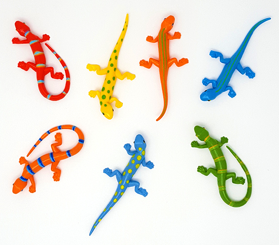 Salamander Eidechsen